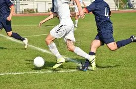 小威助力女,子网球飞跃,荣登世纪百,大发彩票,大发娱乐,大发快三,大发彩票官网