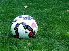 陈翔疑似回,应毛晓彤粉,努力赚钱,大发彩票,大发娱乐,大发快三,大发彩票官网