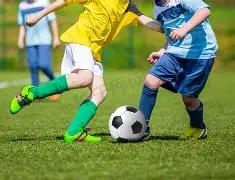 张怡宁喜迎,二胎,儿女双全成,大发彩票,大发娱乐,大发快三,大发彩票官网