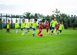 张柏芝脚踝,肿胀严重,需借助拐杖,大发彩票,大发娱乐,大发快三,大发彩票官网