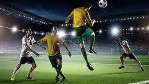 河北冰壶男队全胜荣耀加冕“十四冬”冠军