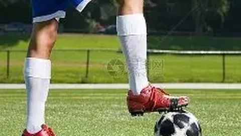 浙江足球俱乐部携手日本今治俱乐部达成青少年培训新协定