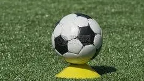 勇士遭国王终结连败，希尔德高效贡献双20+ 科尔教练被驱逐离场