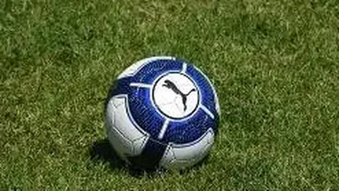 陈乔恩力挺金毛siri，探究导致金毛siri托运不幸离世的公司究竟是谁？